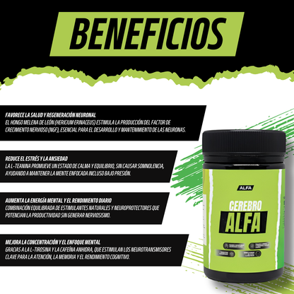 ALFA CEREBRO